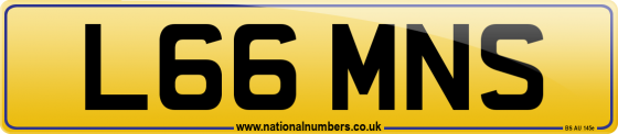 L66 MNS