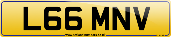 L66 MNV