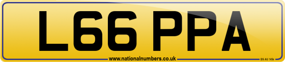 L66 PPA