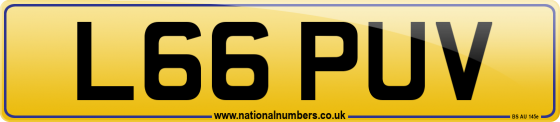 L66 PUV