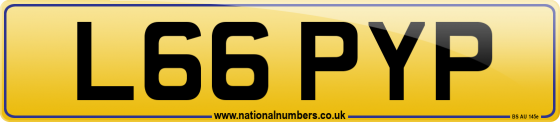 L66 PYP
