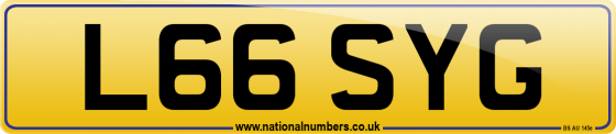L66 SYG