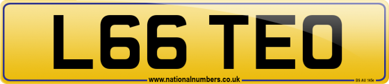 L66 TEO