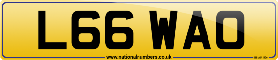 L66 WAO
