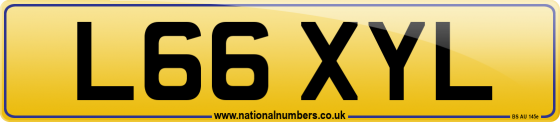 L66 XYL
