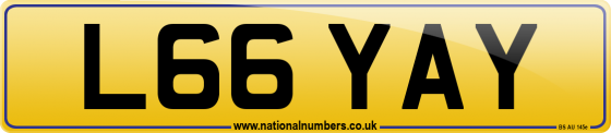 L66 YAY