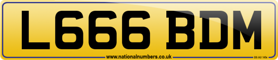 L666 BDM