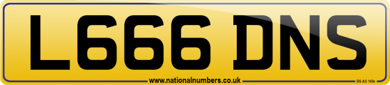 L666 DNS