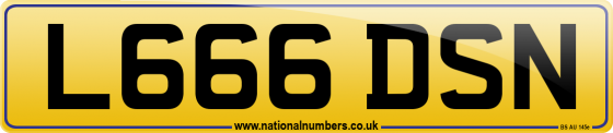 L666 DSN