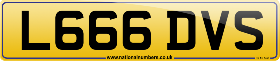 L666 DVS