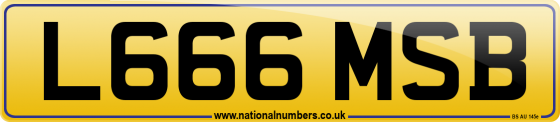 L666 MSB