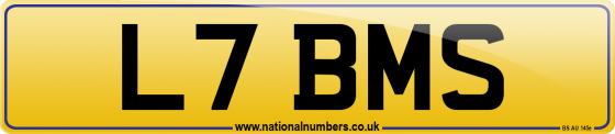 L7 BMS