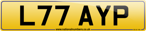 L77 AYP
