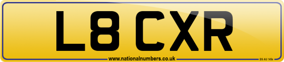 L8 CXR