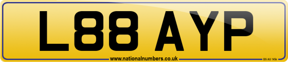 L88 AYP