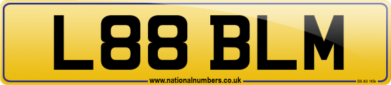 L88 BLM