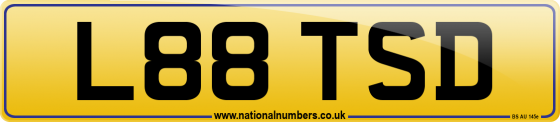 L88 TSD