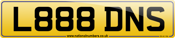 L888 DNS