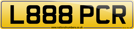 L888 PCR