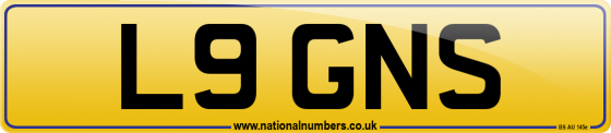 L9 GNS