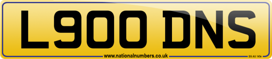 L900 DNS