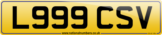 L999 CSV