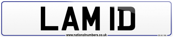 LAM 1D