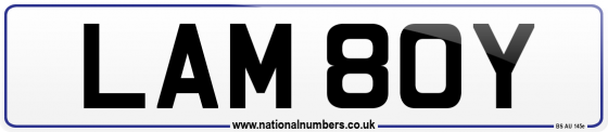 LAM 80Y