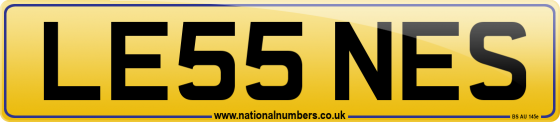 LE55 NES