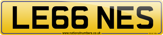 LE66 NES