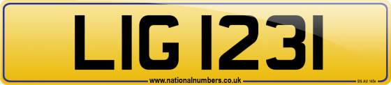 LIG 1231