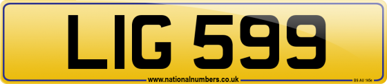 LIG 599
