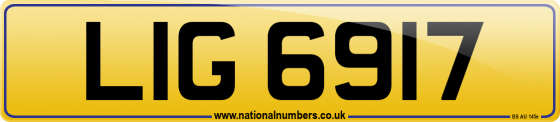 LIG 6917