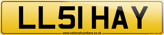 LL51 HAY