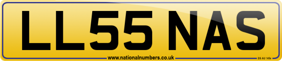 LL55 NAS