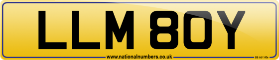 LLM 80Y