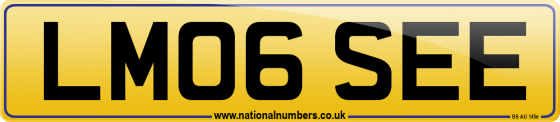 LM06 SEE