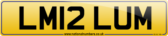 LM12 LUM
