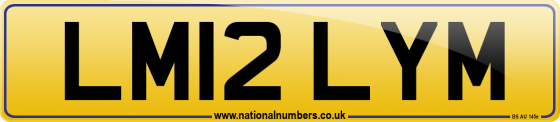LM12 LYM