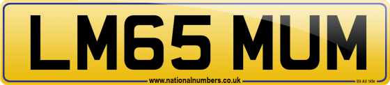 LM65 MUM