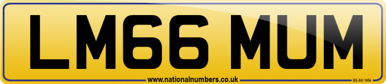 LM66 MUM