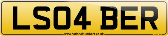 LS04 BER
