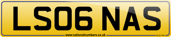 LS06 NAS