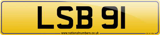 LSB 91