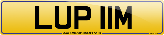 LUP 11M