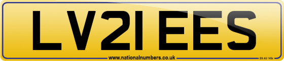 LV21 EES