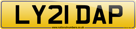 LY21 DAP