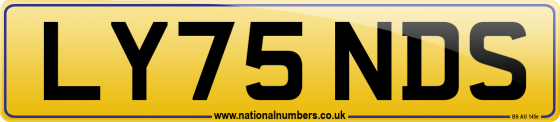 LY75 NDS