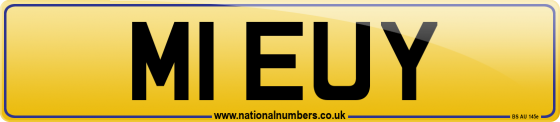 M1 EUY