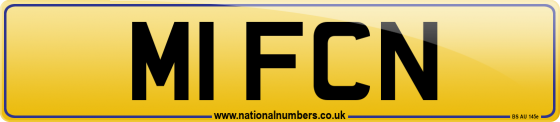 M1 FCN